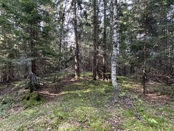 Presterudhaugen