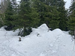 Vittenbergkollen