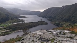 Nordgulkletten