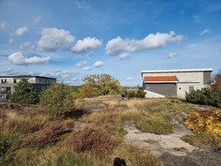 Berganåsen