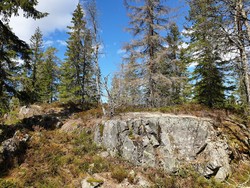 Nilsebrenna