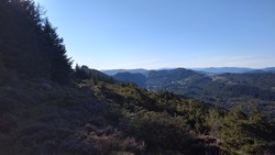 Berfjordfjellet