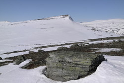 Fremmer Åmotshytten