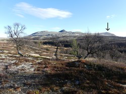 Østre Raudsjøtangen