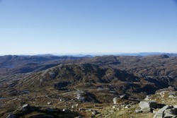 Vardanuten