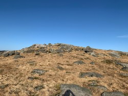 Bukkaknuten