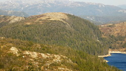 Nebbesheia