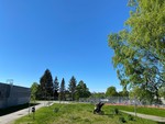 Voldshaugen