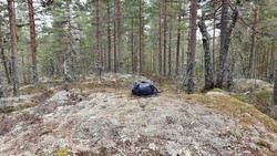 Landsverkåsen