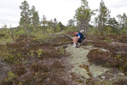 Bomleåsen
