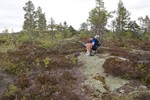 Bomleåsen