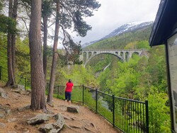 Kyllingbrua