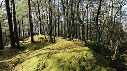 Storhaugen i Alvøen