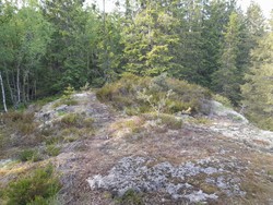 Seterhaugen