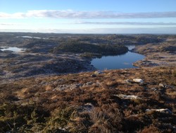 Udnevarden