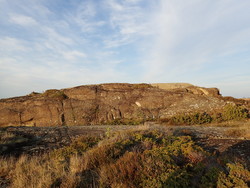 Skjellerøy
