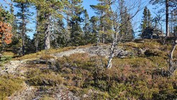 Konnuliåsen