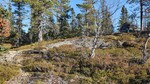Konnuliåsen