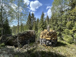 Riksrøys 65