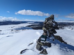 Gubbevarden