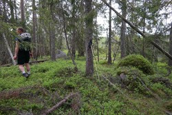Bjønnestillinga