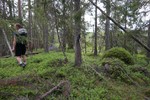 Bjønnestillinga