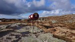 Nødkjelke, Borgaskaret