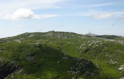 Storeggene