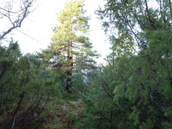 Slettefjell