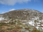 Urhaugane