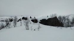 Gråsteinen