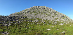 Storenipa