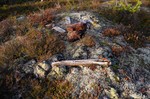 Kirkemofjellet