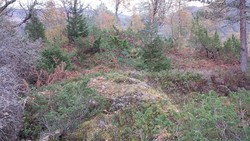 Høgåsen