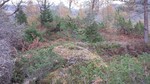 Høgåsen
