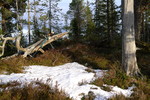 Lyarberget