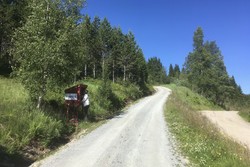 Fagerlia bomveg