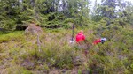 Høgbrenna