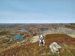 Blåknuten Ø2