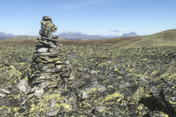 Gravskardshøgda
