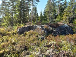 Tjernslidalshøgda