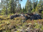 Tjernslidalshøgda