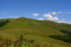 Krzemień