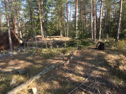 Saraåsen