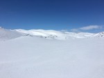 Langevasseggi