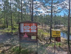 Bomveg Felle skogsbilveg