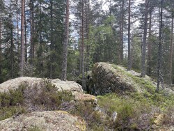 Skottgarden