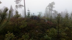 Gimilhøgda