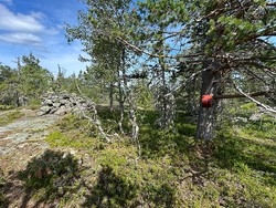 Fleksåsen