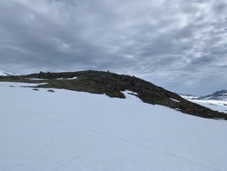 Kjerringhøe